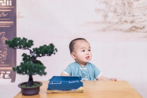 试管代怀生子合法吗宝宝几个月可以吃粥